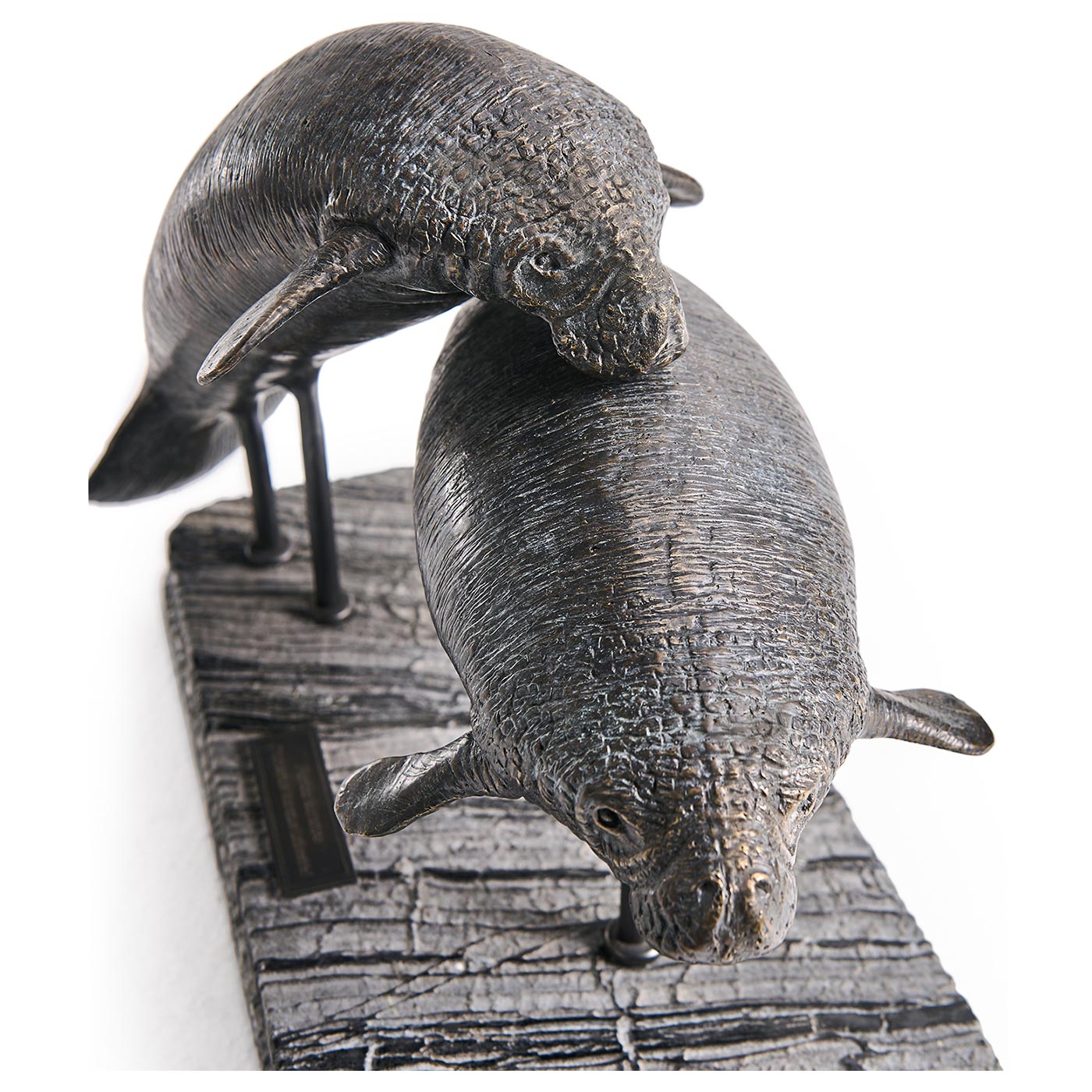 Raised Manatee Bronze Statue with Marble Base